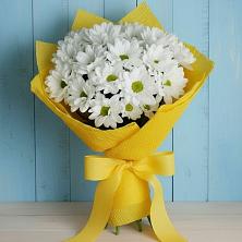 Букет цветов из:  Хризантемы в Шаран