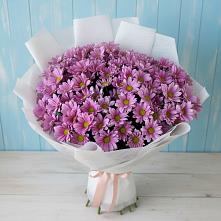 Букет цветов из:  Хризантемы в Шаран