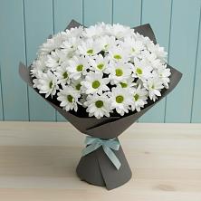 Букет цветов из:  Хризантемы в Шаран