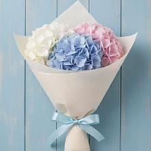 Букет цветов из:  Гортензия в Шаран