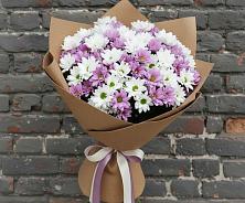 Букет цветов из:  Хризантемы в Шаран