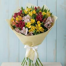 Букет цветов из:  Альстромерии в Шаран