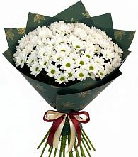 Букет цветов из:  Хризантемы в Шаран