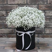 Цветочная композиция из Гипсофила в шляпной коробке в Шаран